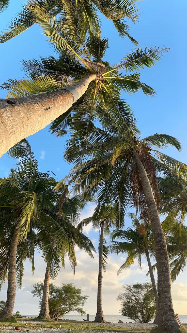 The Gokarna Valentine's Getaway 13-15 February